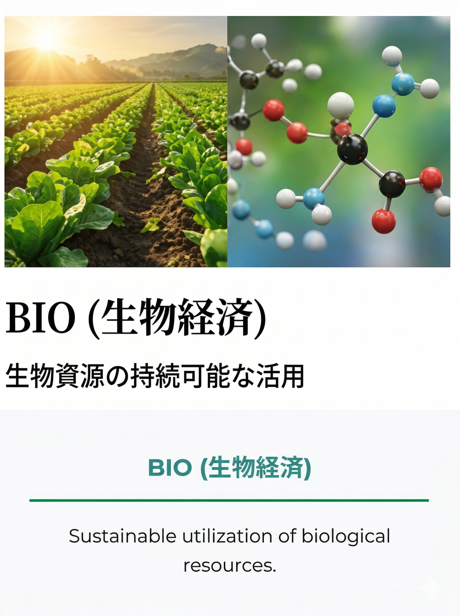 BIO Economy