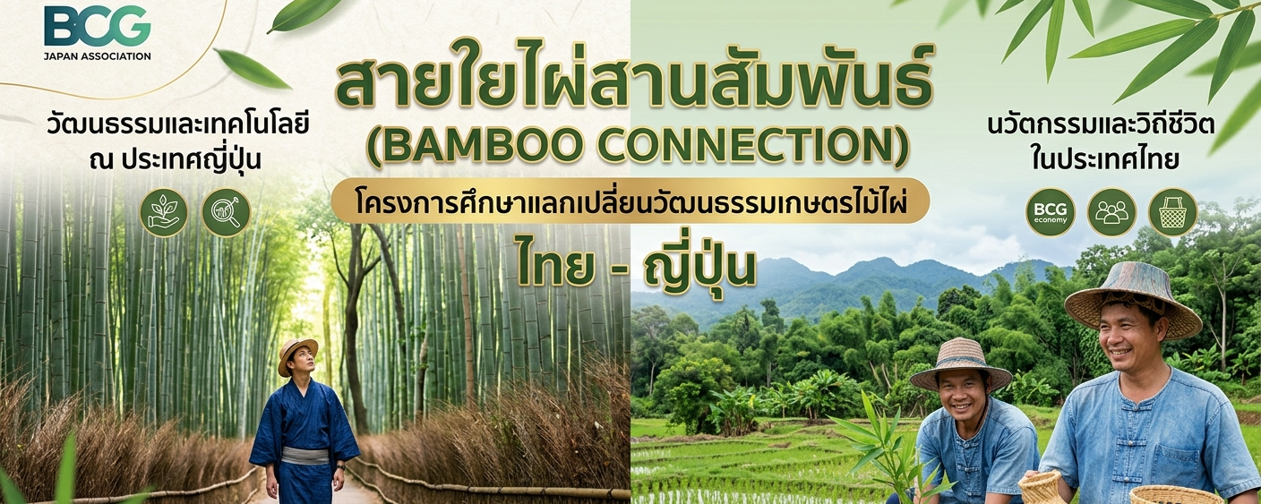 Bamboo Connection